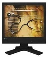 EIZO 17" Class Color LCD Monitor