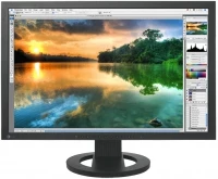 EIZO CG223W