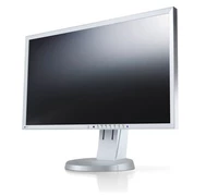 EIZO EV2416WFS-GY