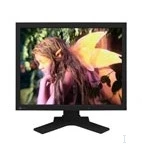 EIZO FlexScan® 21.3 inch LCD