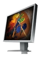 EIZO FlexScan® 21.3 inch LCD