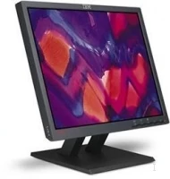 Lenovo ThinkVision L191p