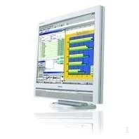 Philips 20.1"  LCD Monitor