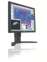 Philips 190P7EB 19" SXGA LCD monitor