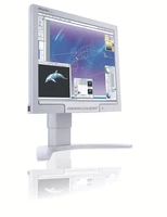 Philips Monitor LCD 170P7EG/00