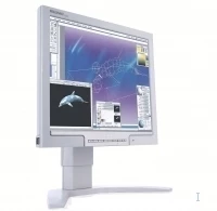 Philips LCD monitor 170P7EG/05