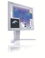 Philips LCD monitor 190P7EG/00