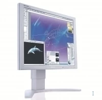 Philips LCD monitor 190P7EG/05